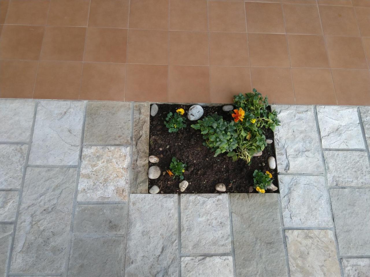 Studio Apartments 6 Palmi Budva Exterior foto