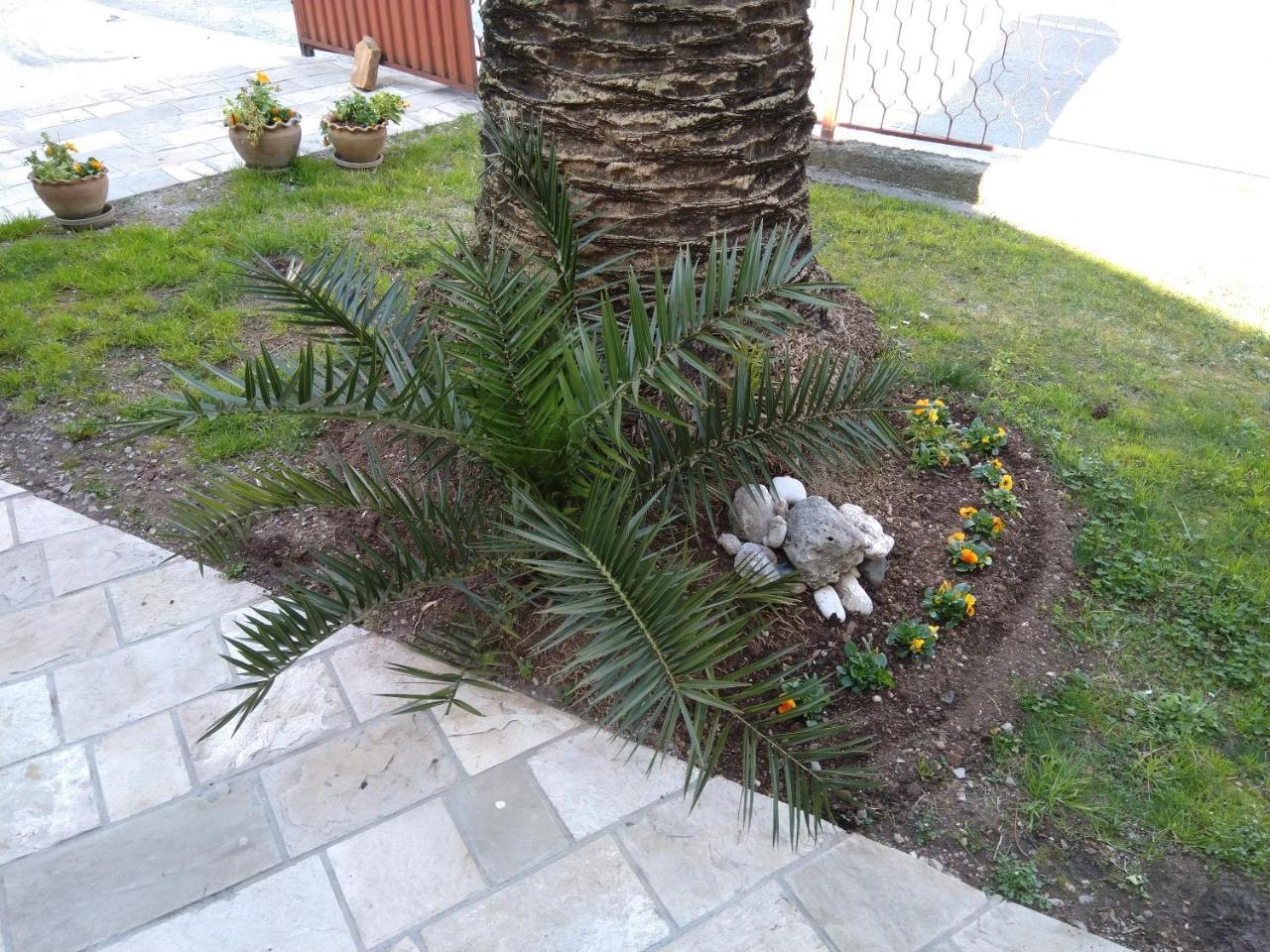Studio Apartments 6 Palmi Budva Exterior foto