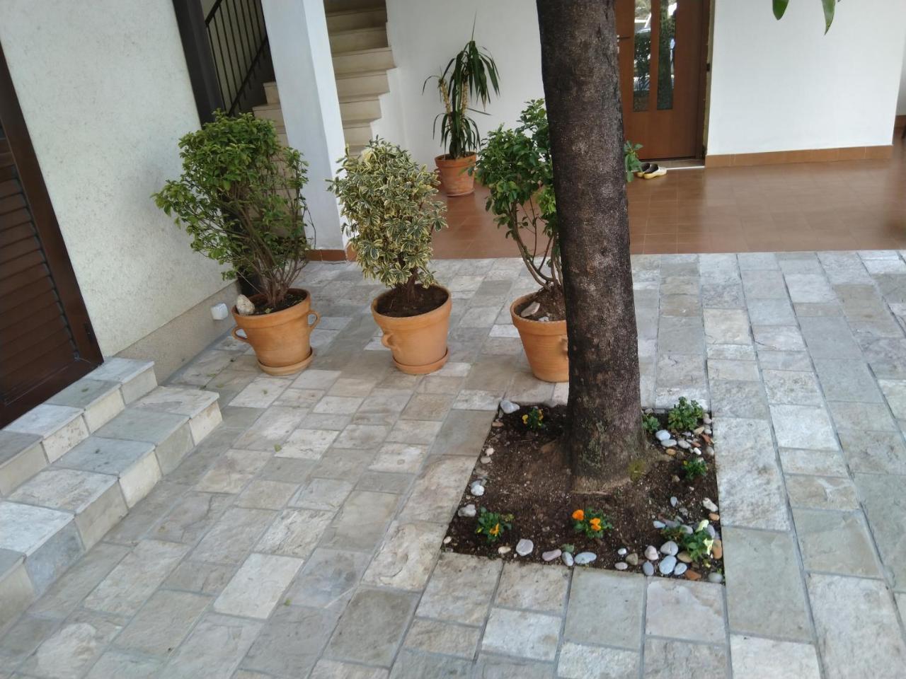 Studio Apartments 6 Palmi Budva Exterior foto